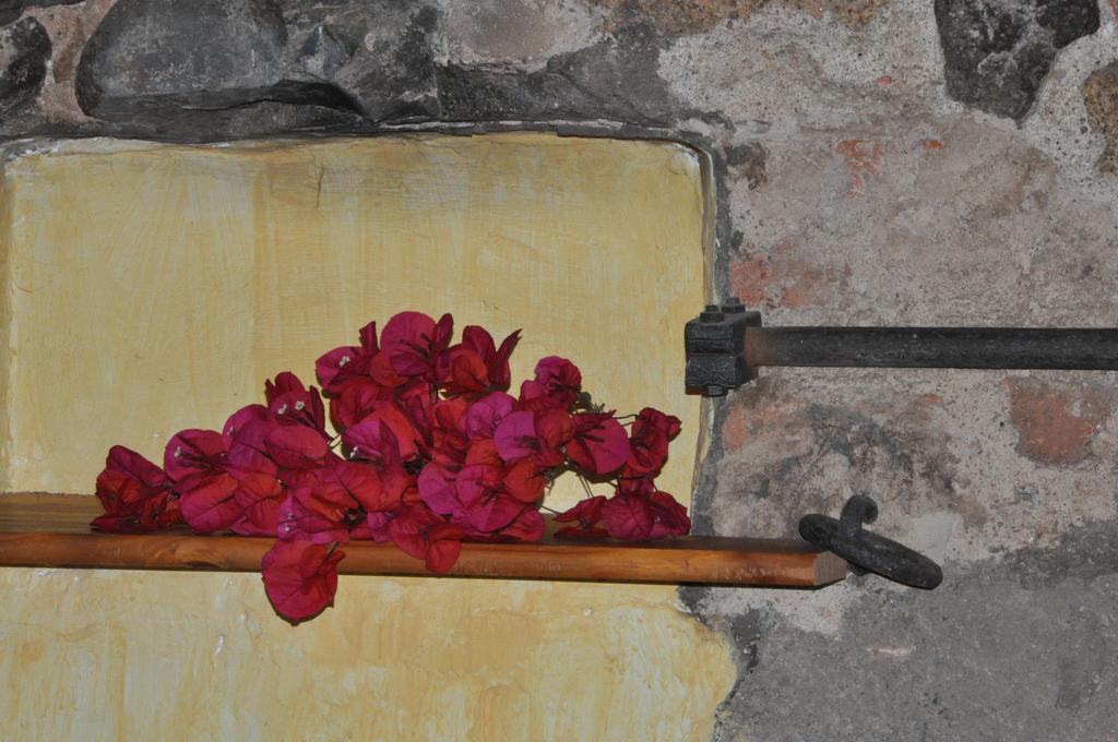 Can Masferrer Riudarenes Dış mekan fotoğraf